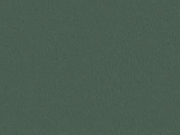 Preview: Modena 4J34 blassgrün – rechteckige Draufsicht auf blassgrünen Veloursboden als Meterware